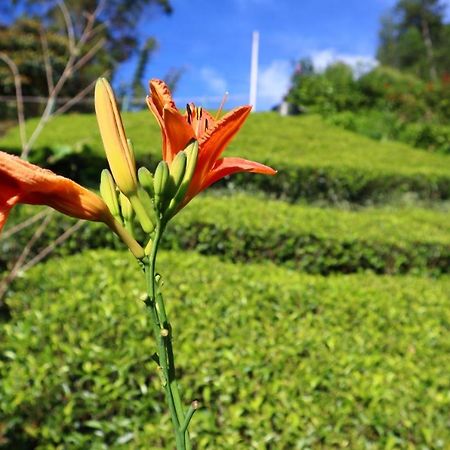 Narra Homestay Maskeliya Luaran gambar